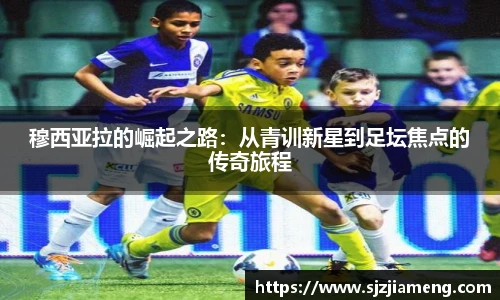 米乐m6官网